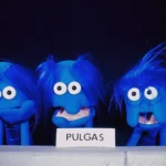 Pulgas da TV Colosso