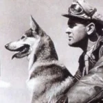 Lobo e Vigilante Carlos